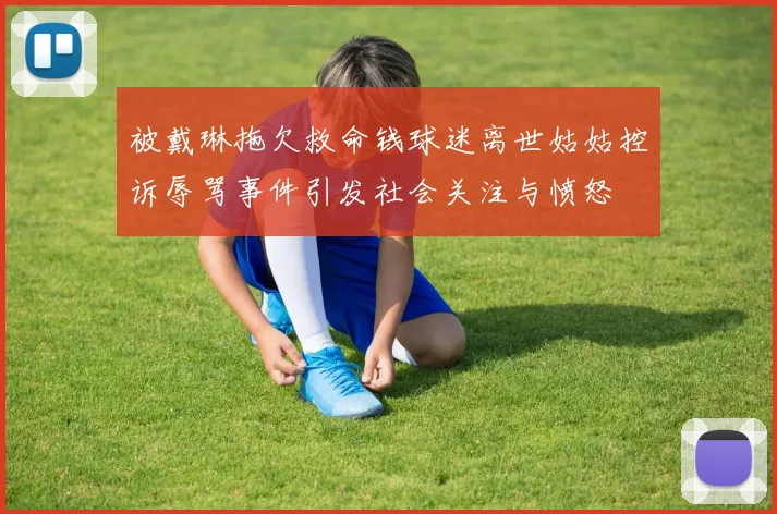 被戴琳拖欠救命钱球迷离世姑姑控诉辱骂事件引发社会关注与愤怒
